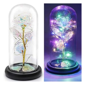 PREMIUM ROSE LAMP WITH GLASS DOME